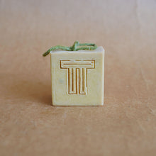 Load image into Gallery viewer, terra-tory soap