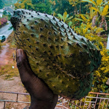 Load image into Gallery viewer, Soursop 430 Candle