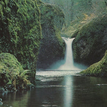 Load image into Gallery viewer, Petrichor Omega Body Oil inspired scene featuring a serene waterfall and lush green surroundings.