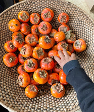 Load image into Gallery viewer, Persimmon + Oat Milk Soap