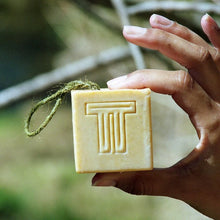 Load image into Gallery viewer, terra-tory soap