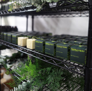 TERRA-TORY moments at Momentum | Brooklyn NY