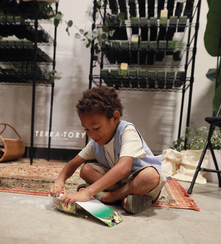 TERRA-TORY Moments at HUE AFFAIR