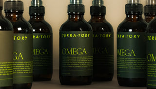 A Scent That Grounds You In Spring, Petrichor | TERRA-TORY