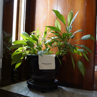 Balancing the Masculine and Feminine Within: My Journey to Rest, Joy, and Reconnection