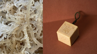 5 Benefits of Sea Moss Soap for Skin