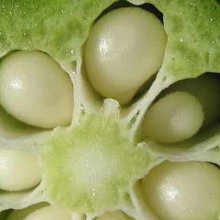 Why Okra Belongs in Your Shower: The Benefits of Okra Soap