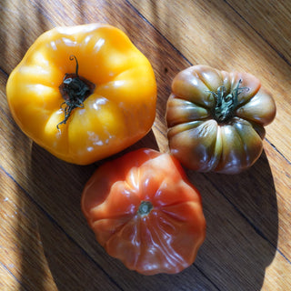 Wild Heirloom Tomato + Sweet Basil Soap