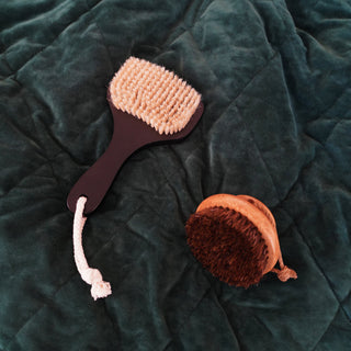 The Dry Brush Duo