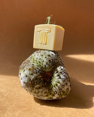 soursop soap