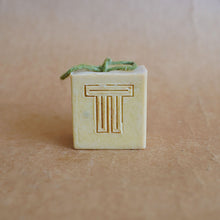 Load image into Gallery viewer, Fresh Carrot + Turmeric Soap Cube
