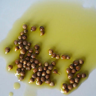 Coriander Lemongrass Moisturizing Set