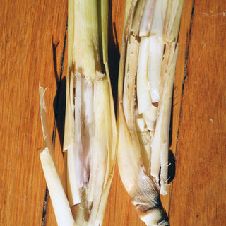 Coriander Lemongrass Moisturizing Set