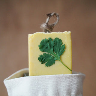 Mango + Cilantro Soap Cube