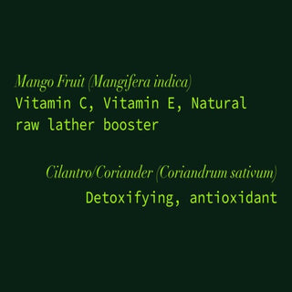 Mango + Cilantro Soap Cube