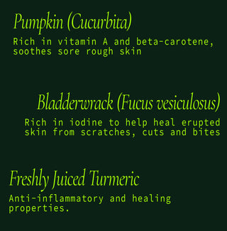 Pumpkin + Bladderwrack Soap Cube