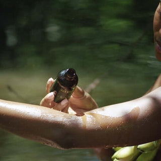 Applying Coriander Seed Omega Body Oil for skin nourishment and hydration in a natural setting.