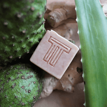 Load image into Gallery viewer, Fresh Soursop Soap
